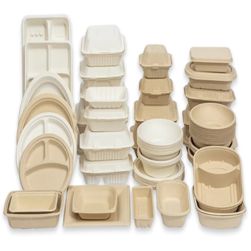 The Material Lineup: Bagasse, Molded Fiber, PLA, Paper, and Recyclable Plastics