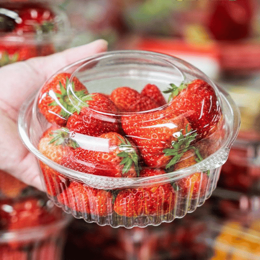 Industry Outlook 2026 Plastic Taxes, EPR Rollout, and PFAS Bans Reshape Global Sourcing