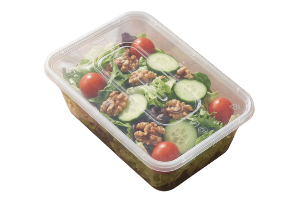 Rectangular Takeout Box