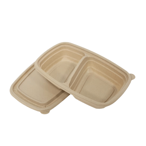 Food Storage Materials and Food-Contact Safety: BPA-Free PP, MFPP, Biodegradable, Glass, and Steel