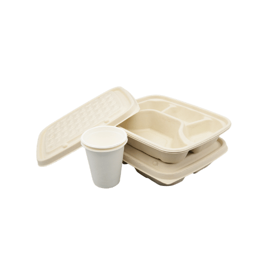 Size, Shape, Raised Edges, and Compartment Layouts