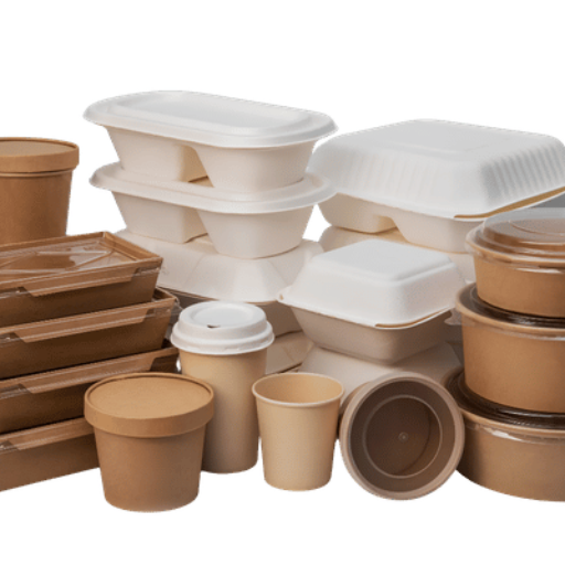 Eco-Friendly Food Packaging