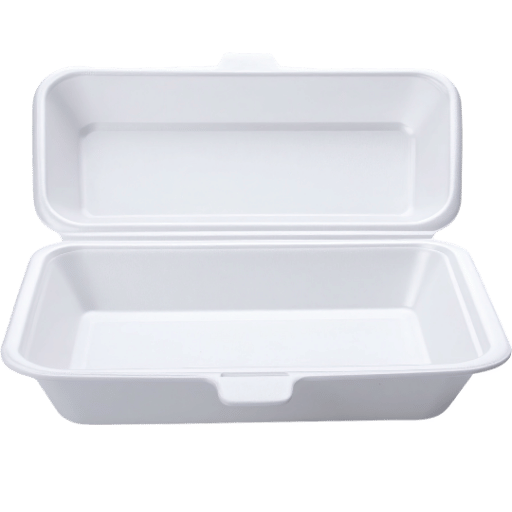 Hinged Lid Container Detail 3