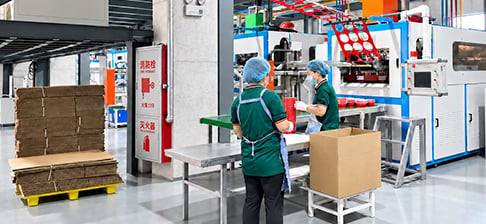 Workers inspecting automated packaging line